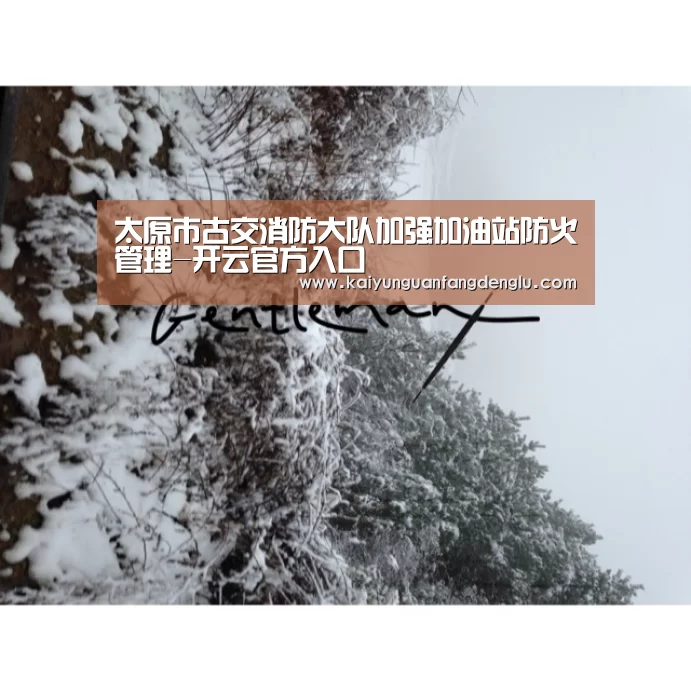 开云官方登录官网